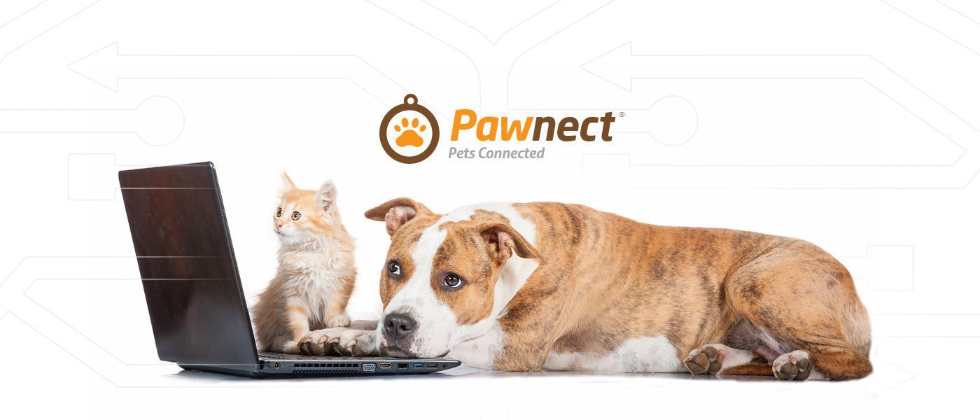 Pawnect tech gear for your pets to keep dogs, and cats connected.